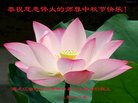 ֹ,󷨵ӹףʦ(20)