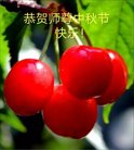 ֹ,󷨵ӹףʦ(21)