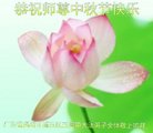 ֹ,㶫󷨵ӹףʦ(29)
