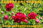 ֹ,󷨵ӹףʦ(21)
