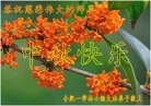 ֹ,մ󷨵ӹףʦ(24)