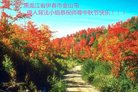 ֹ,󷨵ӹףʦ(25)