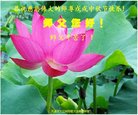 ֹ,󷨵ӹףʦ(24)
