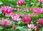 ֹ,󷨵ӹףʦ(25)