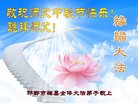 ֹ,ӱ󷨵ӹףʦ(29)