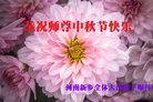 法轮功,河南大法弟子恭祝师尊中秋好(22条)