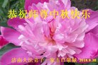 ֹ,ϴ󷨵ӹףʦ(28)