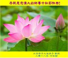 ֹ,󷨵ӹףʦ(25)
