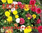 ֹ,󷨵ӹףʦ(25)