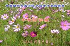 ֹ,󷨵ӹףʦ(27)