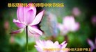 ֹ,ʡ󷨵ӹףʦ(25)