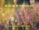 ֹ,󷨵ӹףʦ(27)