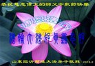 ֹ,ʴ󷨵ӹףʦ(25)
