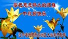 法轮功,辽宁大法弟子恭祝师尊中秋好(23条)