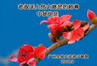 ֹ,ݴ󷨵ӹףʦ(26)