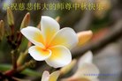 ֹ,󷨵ӹףʦ(22)