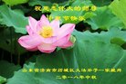 ֹ,ϴ󷨵ӹףʦ(28)