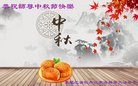 ֹ,󷨵ӹףʦ(21)