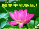 ֹ,󷨵ӹףʦ(22)