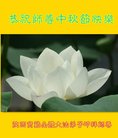 法轮功,陕西大法弟子恭祝师尊中秋好(21条)