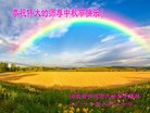 ֹ,ӱ󷨵ӹףʦ(22)