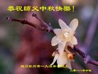 ֹ,ɶ󷨵ӹףʦ(24)