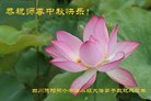 法轮功,四川大法弟子恭祝师尊中秋好(22条)