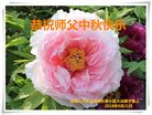 法轮功,大庆大法弟子恭祝师尊中秋好(24条)