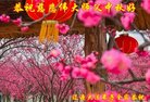 ֹ,ʡ󷨵ӹףʦ(26)