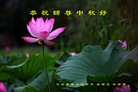 ֹ,ӱ󷨵ӹףʦ(22)