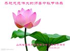 ֹ,Ϋ󷨵ӹףʦ(28)