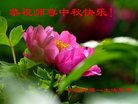 ֹ,մ󷨵ӹףʦ(24)