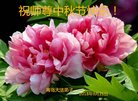 法轮功,青岛大法弟子恭祝师尊中秋好(24条)