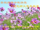ֹ,󷨵ӹףʦ(19)