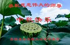 ֹ,󷨵ӹףʦ(21)