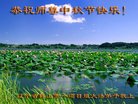 ֹ,󷨵ӹףʦ(28)