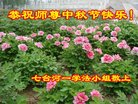 ֹ,󷨵ӹףʦ(21)