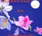 ֹ,Ϋ󷨵ӹףʦ(25)
