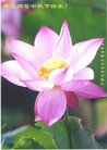 法轮功,潍坊大法弟子恭祝师尊中秋好(25条)