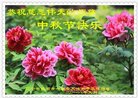 ֹ,󷨵ӹףʦ(28)