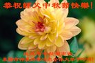 ֹ,ϴ󷨵ӹףʦ(25)