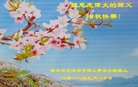 ֹ,ӱ󷨵ӹףʦ(19)