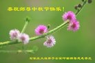 ֹ,ʯׯ󷨵ӹףʦ(25)