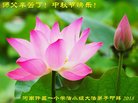 ֹ,ϴ󷨵ӹףʦ(25)