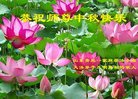 ֹ,ൺ󷨵ӹףʦ(21)