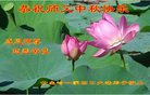 ֹ,ʡ󷨵ӹףʦ(20)