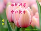 ֹ,մ󷨵ӹףʦ(24)