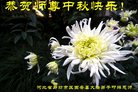 ֹ,ȷ󷨵ӹףʦ(26)