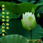 法轮功,湖南大法弟子恭祝师尊中秋好(21条)