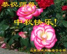 ֹ,ϴ󷨵ӹףʦ(28)
